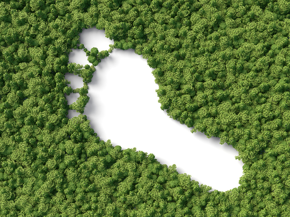Redur awarded carbon footprint certification